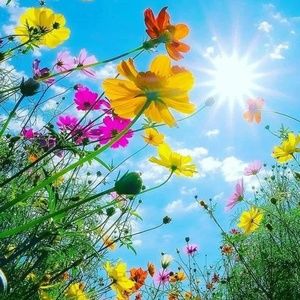 Meet your Posher, Ruth